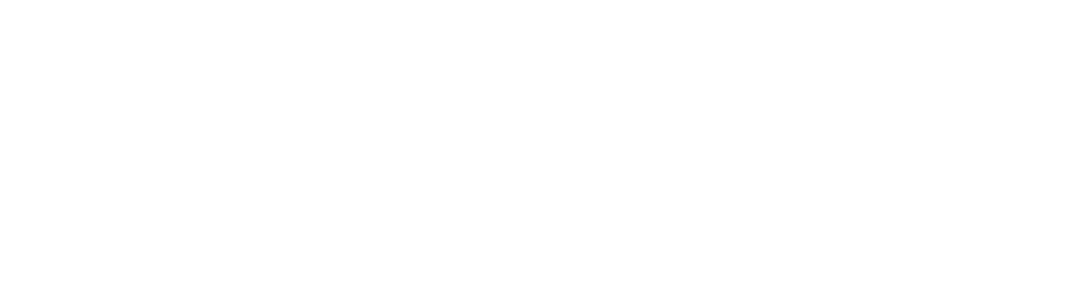 Paws in the Park